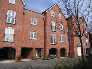 Front Aspect