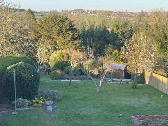 garden 2.jpg