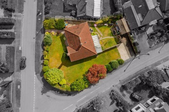 Corner Plot (In Focus)