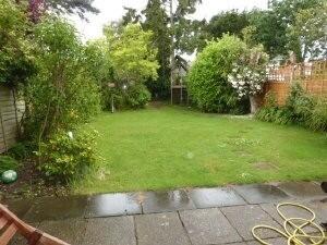 Picture 9