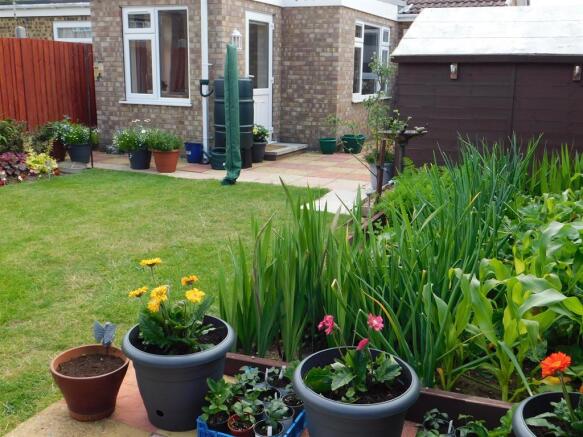 garden 4 