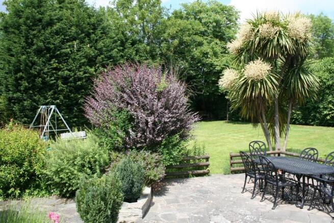 Photo 6