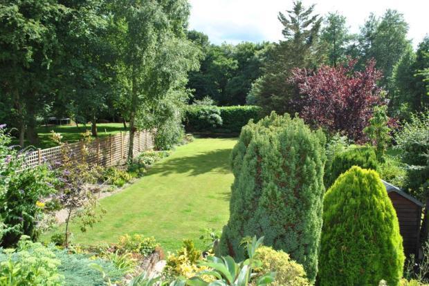 Superb Gardens