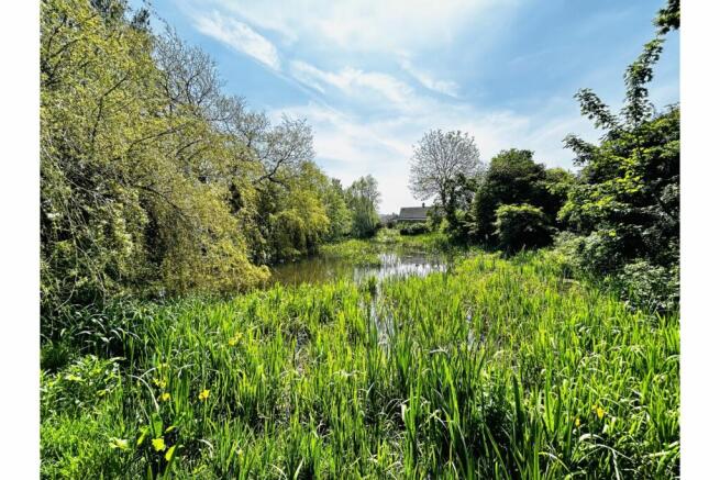 Pond