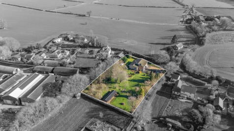 CHAIN FREE - Nasty, Nr Ware, Herts