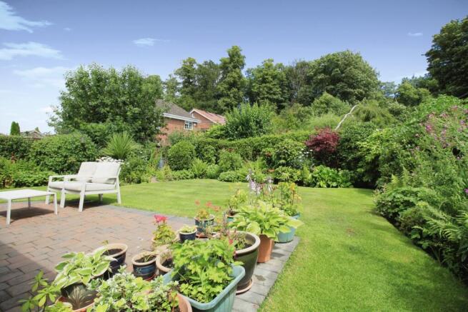 Garden (1).JPG