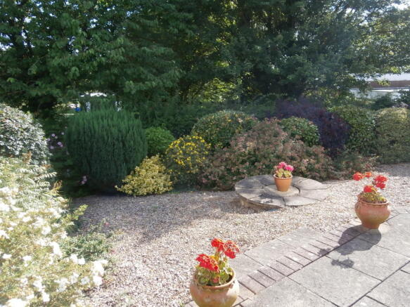 Photo 10