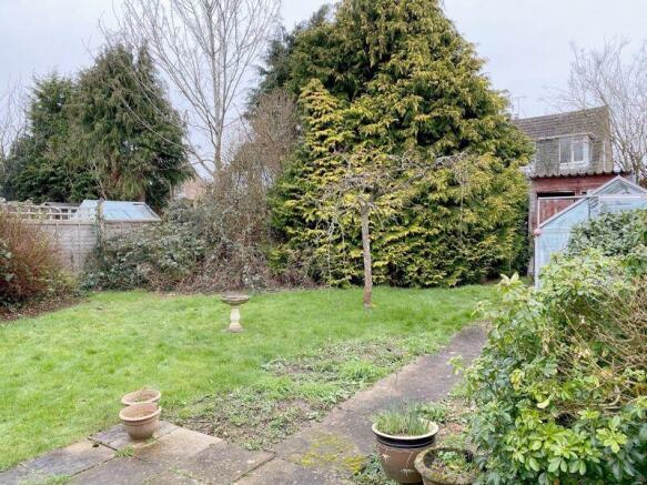 The Rear Garden
