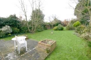 Garden Photo 5