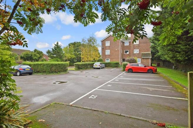 Driveway/Parking