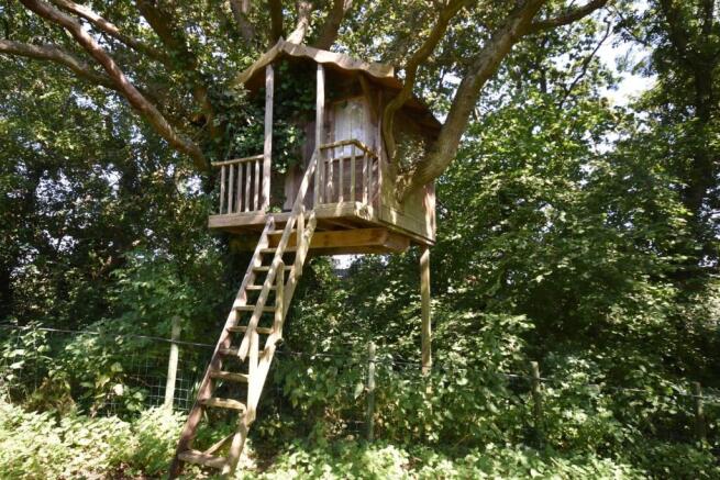 Tree house.jpg