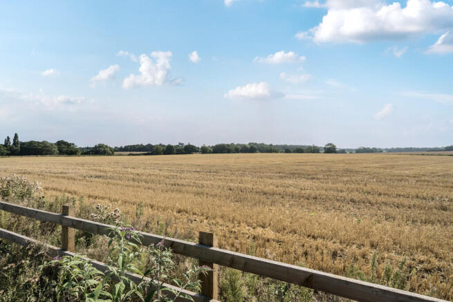 1335933-4-6895c8b...