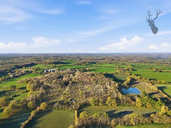 011_dji_20251120091641_0133_d.jpg