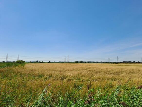 Lot 1.jpg