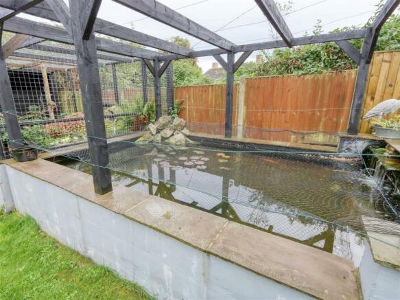 pond