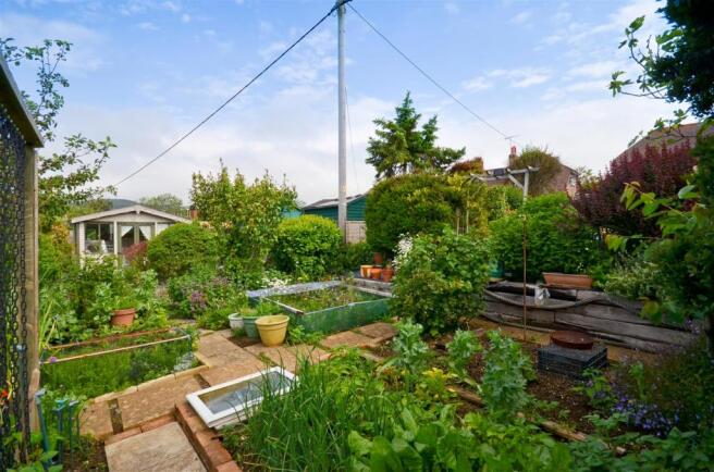 Vegetable Plot