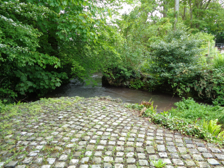 The Stream 
