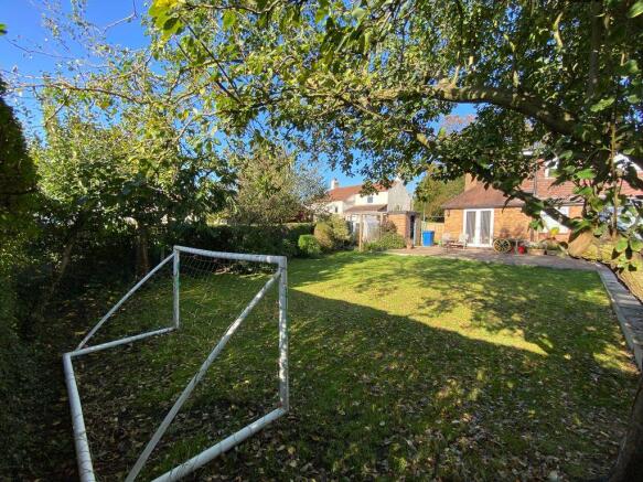 Garden at Back