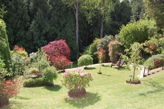 Photo 10