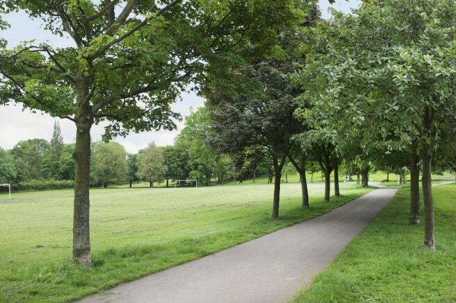 Local park
