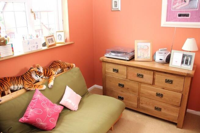 Photo 13