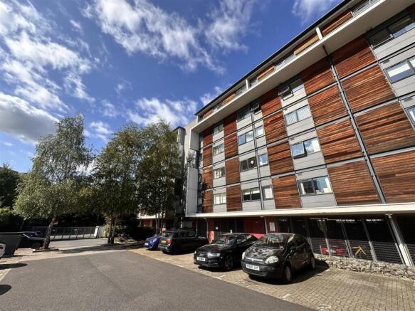 Photo 11