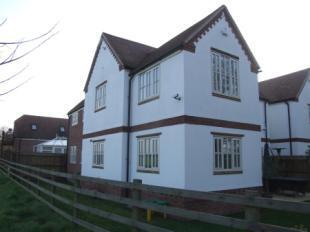 Rear Aspect