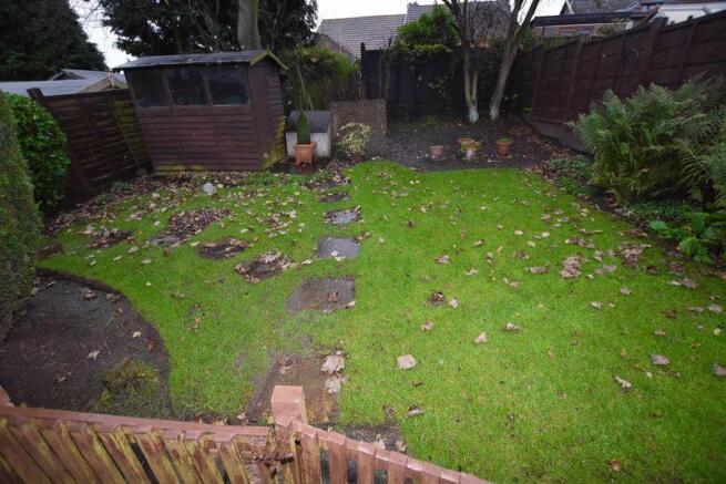Photo 11