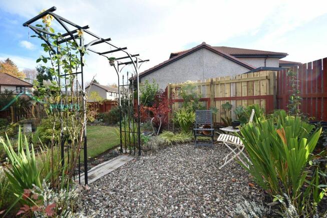 garden 3 .JPG