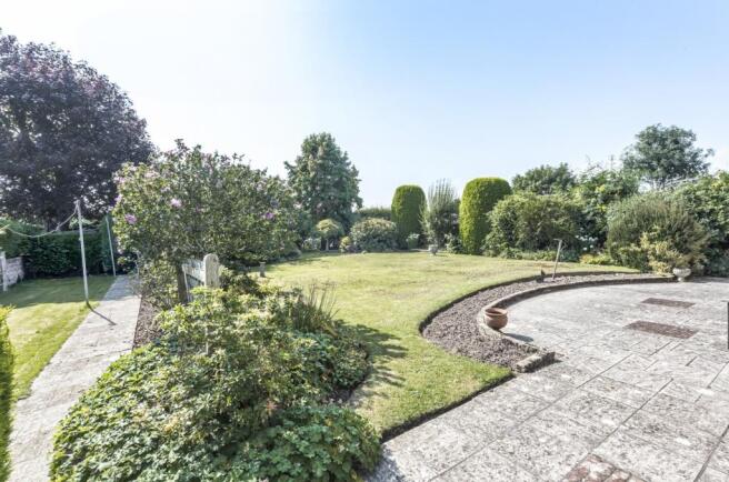 South facing garden