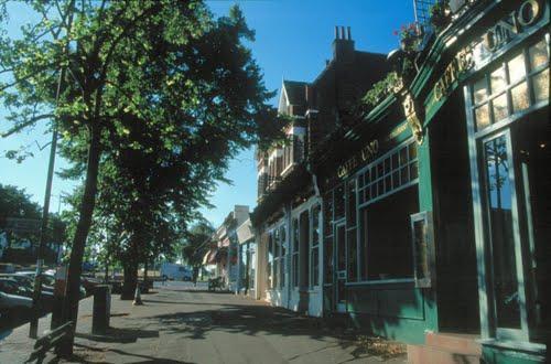 Picture No.16