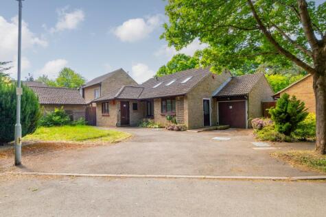 Birchall Wood, Welwyn Garden City, AL7