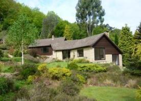 Little Wood, Whitmore Vale, Grayshott, Hindhead GU26 6JB