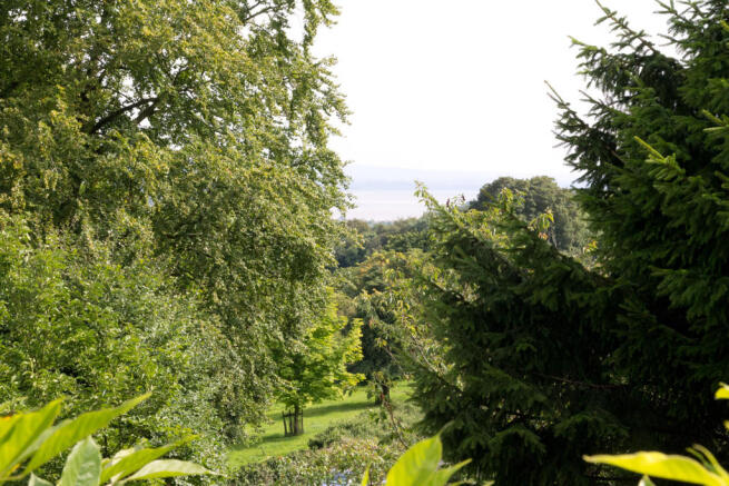 View from Bedroom
