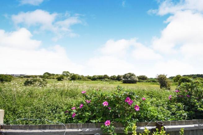 Backing Fields