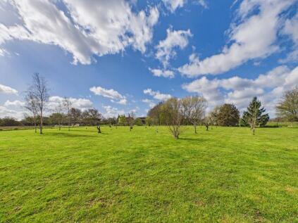 Paddock Wood