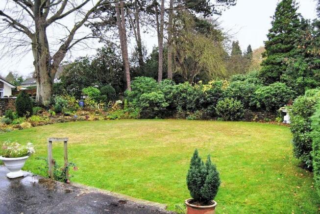 Garden 2