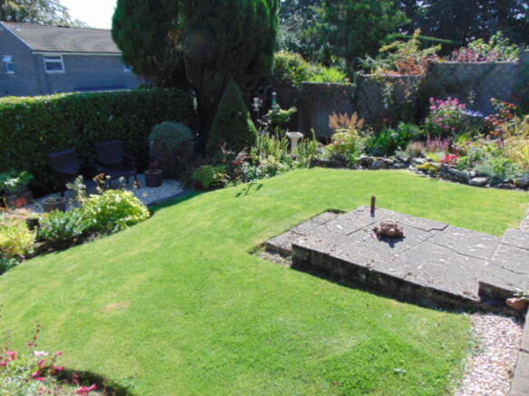 Photo 11
