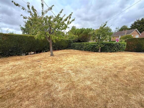Garden.jpg