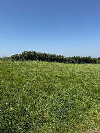 Plot A Willows Paddock, Okeford Hill, Okeford Fitzpaine , DT11 0TF photo 2