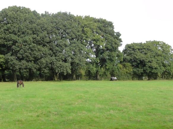 View Across Paddocks