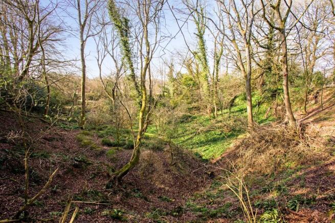 Slade Dell