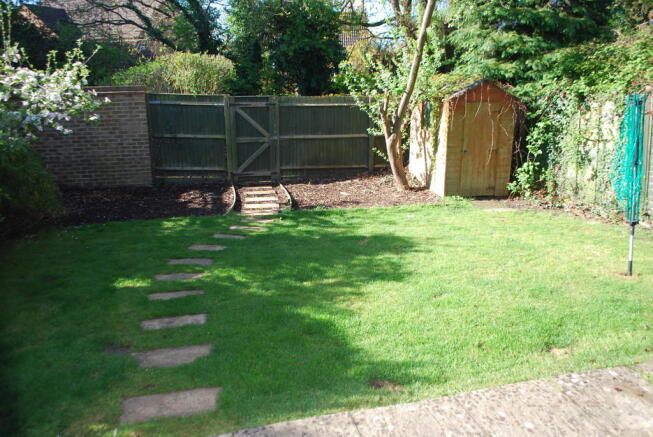 Photo 5