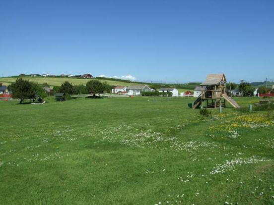 Field