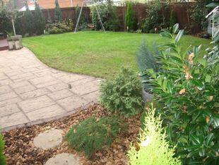 Photo 8