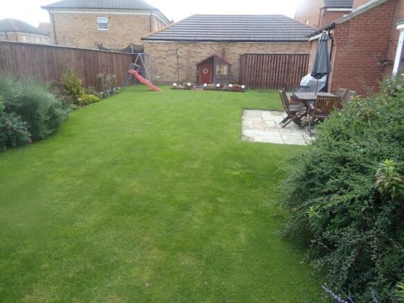 Photo 23