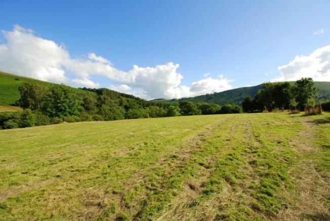 2.5 acre paddock