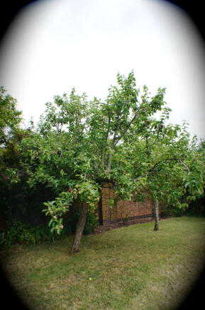 Photo 24