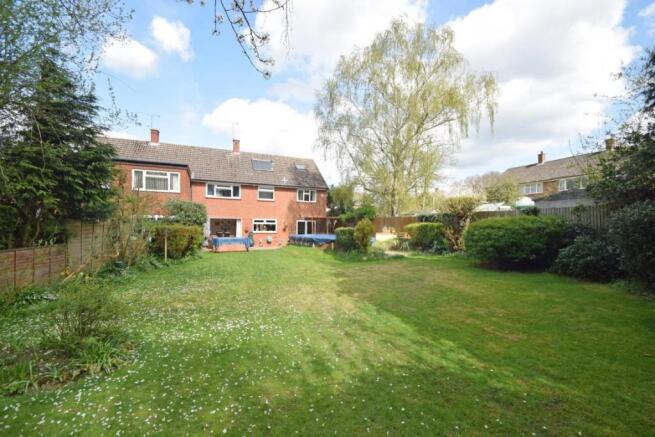 Picture 3