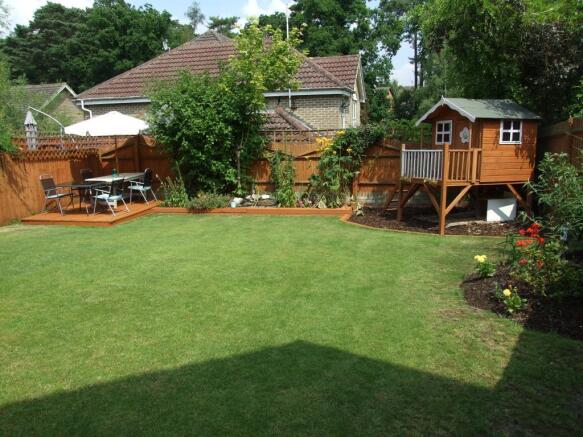 Picture 8